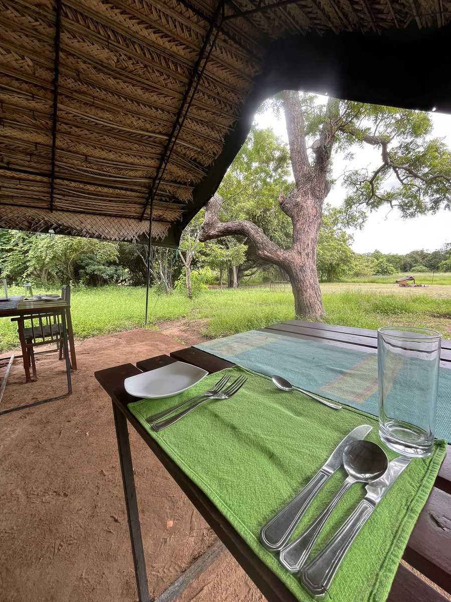 Maximum Exposure tweet media