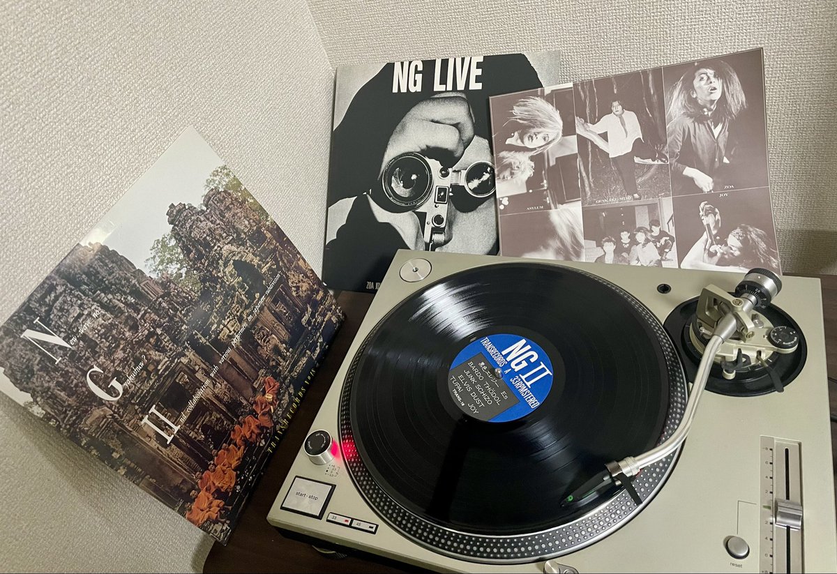 PUNGO(パンゴ)「1980-1981」アナログLP/ピナコテカレコード PUNGO