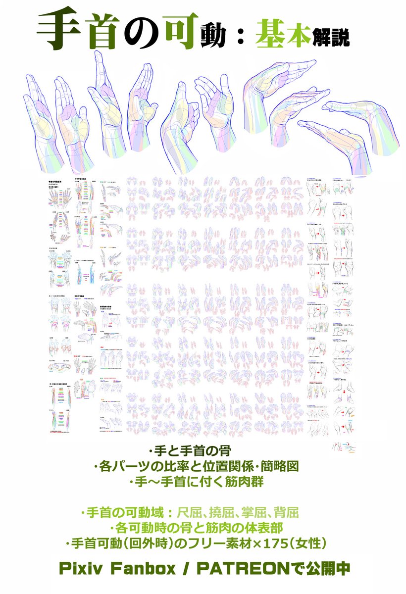 Manga_Materials's tweet image. 個人メモ：手首の突起（尺骨）

手首の可動・基本解説
FANBOX
mangamaterials.fanbox.cc/posts/709652
Patreon
patreon.com/posts/shou-sho…

■ENGLISH
Movement of the wrist
FANBOX
mangamaterialsen.fanbox.cc/posts/715009
Patreon
patreon.com/posts/movement…

■中文
手腕的可动・基本解说
Patreon
patreon.com/posts/shou-wan…