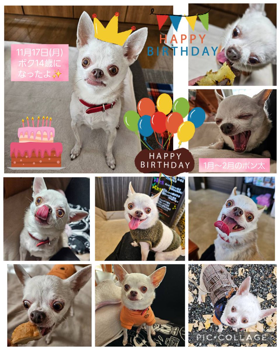 Hair Salon BLONDE Group tweet media