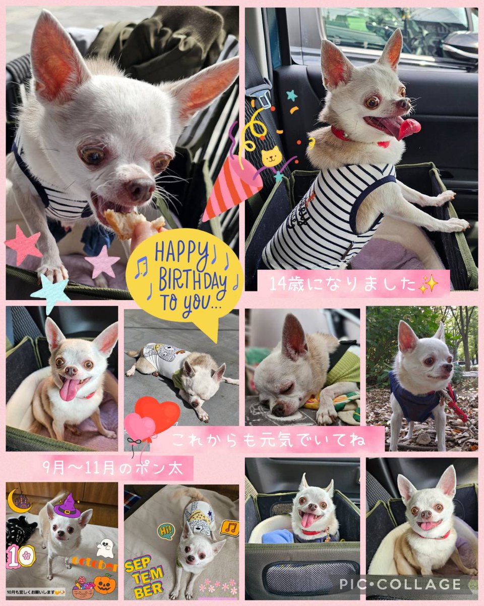 Hair Salon BLONDE Group tweet media