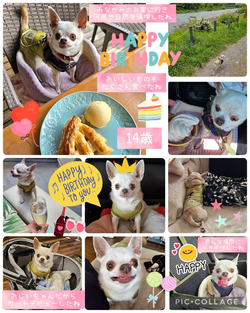 Hair Salon BLONDE Group tweet media