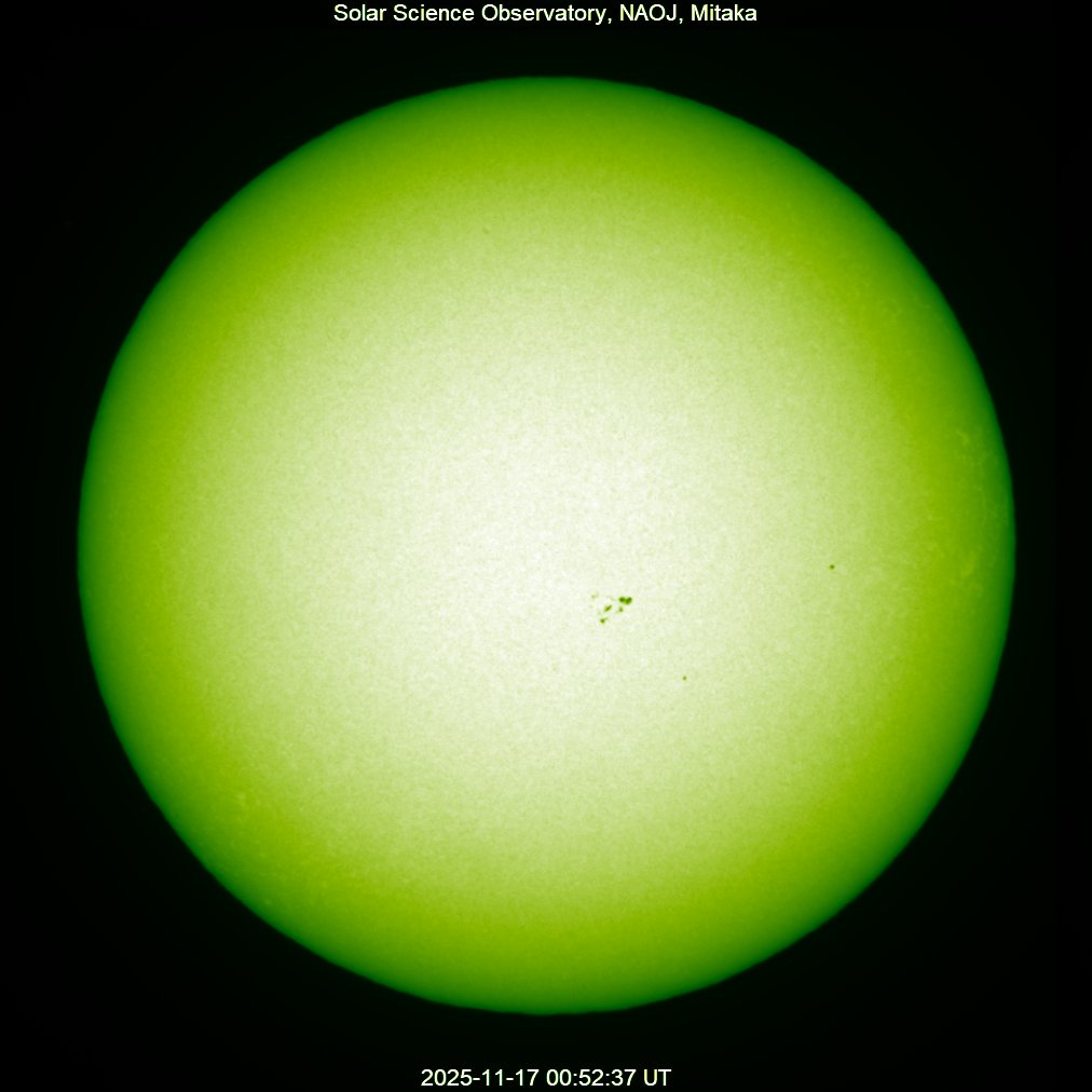 緑の太陽の頂点 4枚組 MTG 2X2 緑の太陽の頂点 日本語版 4枚セット EX+]緑