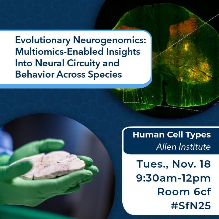 Allen Institute tweet media
