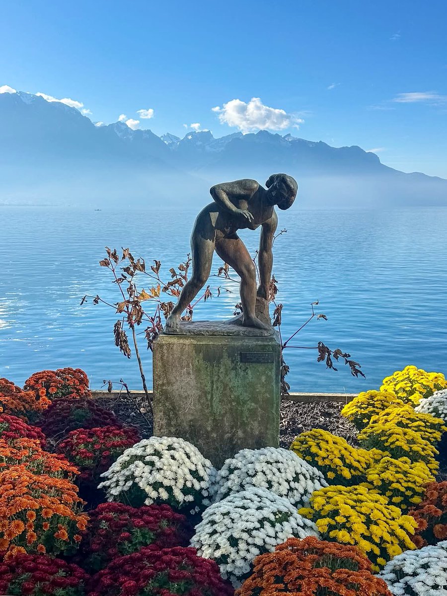 fresh696's tweet image. Good morning my beautiful friends and folks 💙🩵🤍
🌼🌸🌺🌷💐🌹🌸🌼🌺