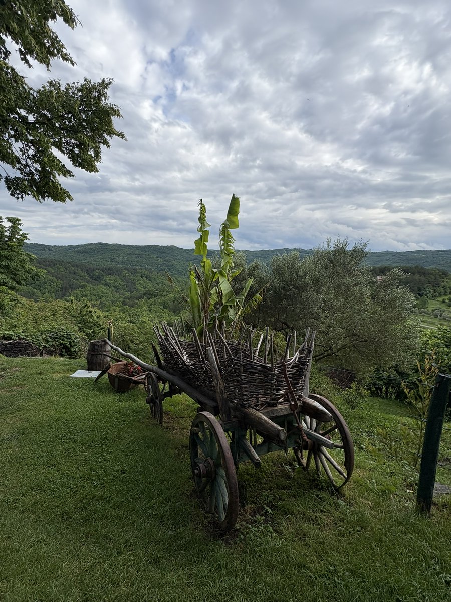 Did you know? Hum, Croatia, is considered the smallest town in the world, with a population of just around 30 residents. Despite its size, it boasts a rich history and medieval charm. 🏰✨

#CroatiaFullOfLife #HiddenGems #SmallestTown