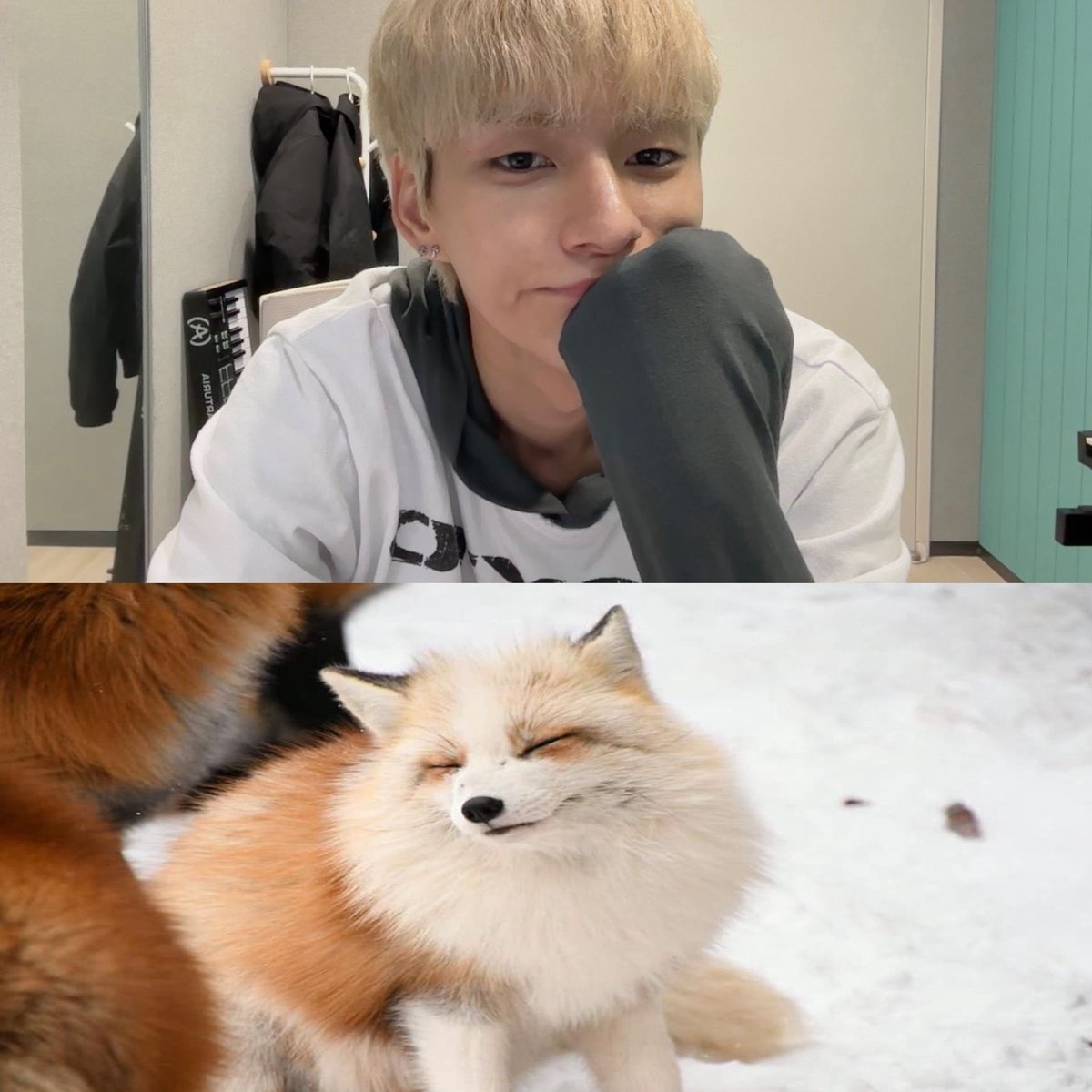 foxdesumi's tweet image. #ode #foxde