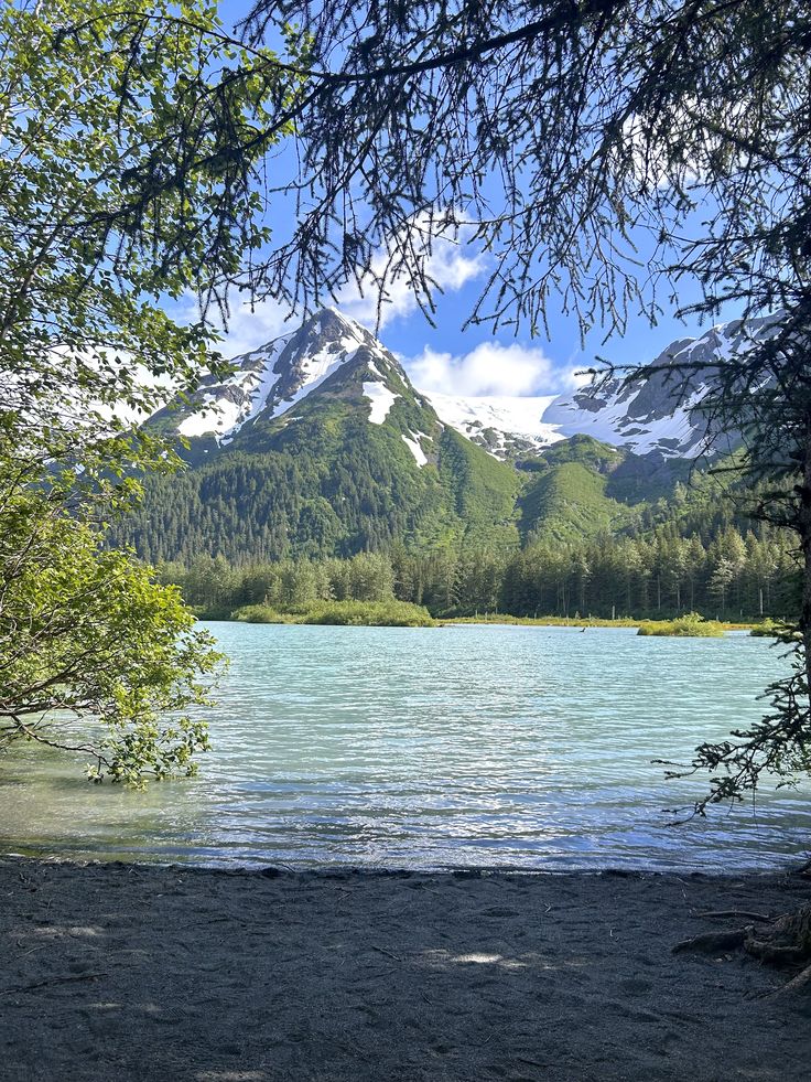 Wa-Bush (@bondzabby) on Twitter photo 