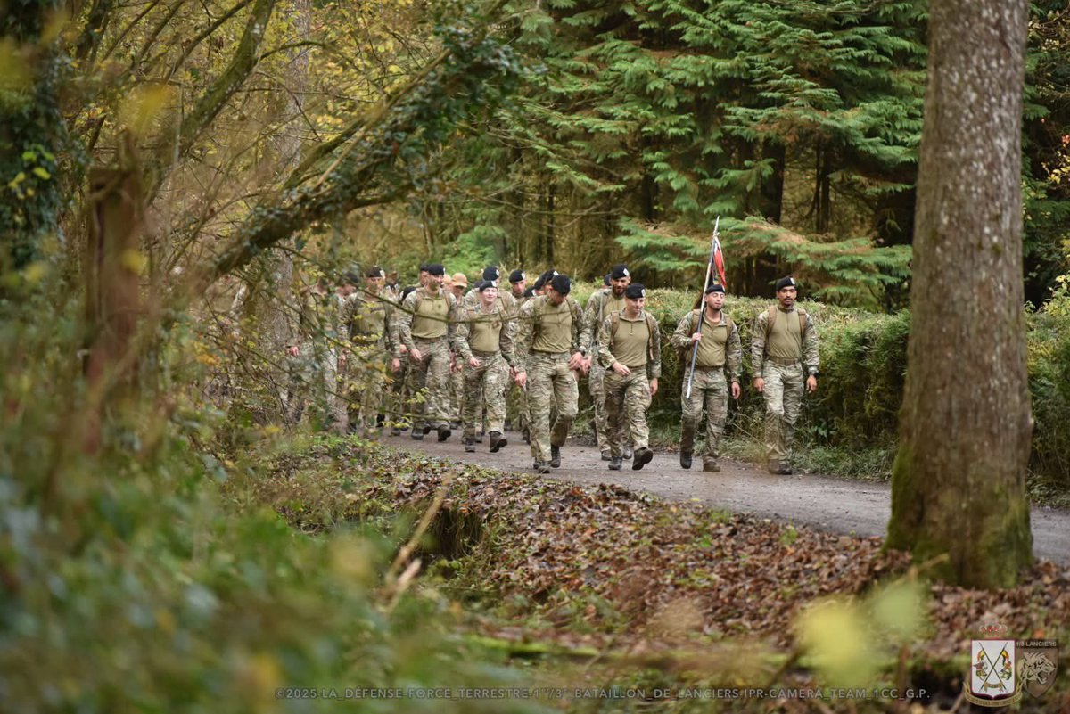 Chef de Corps du 1/3 Bataillon de Lanciers tweet media