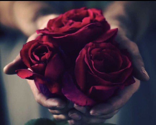 ••••••

"İyi ki var" dediğimiz
Tüm güzel dostlara..

Günaydın☕️
Mutlu Haftalar 🕊