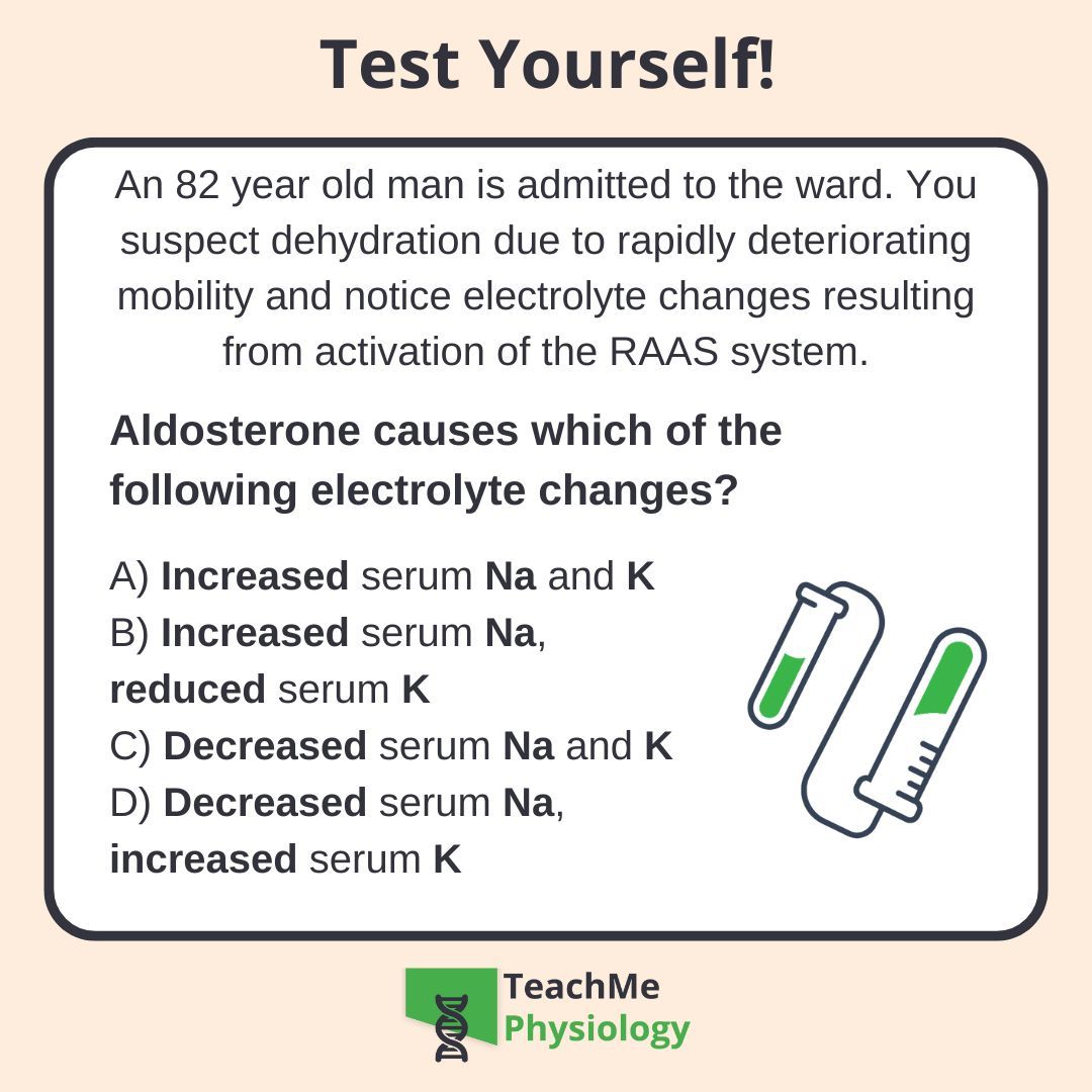 Want to learn more about where aldosterone exerts its effects? 🤔
Check out our article on Distal Convoluted Tubule and Collecting Duct ➿
shorturl.at/GuQtt

Come back tomorrow for the answer!
#TeachMePhysiology #physiology #education