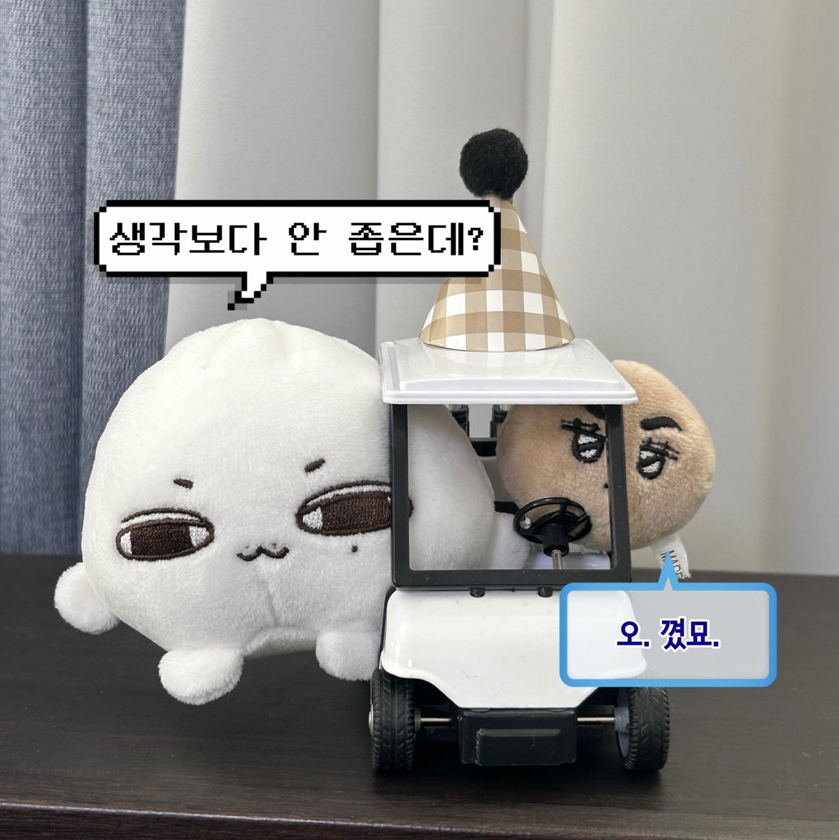 #만두틴은_그럴만두 #준만두는_그럴만두
나에게도 준만두가!!