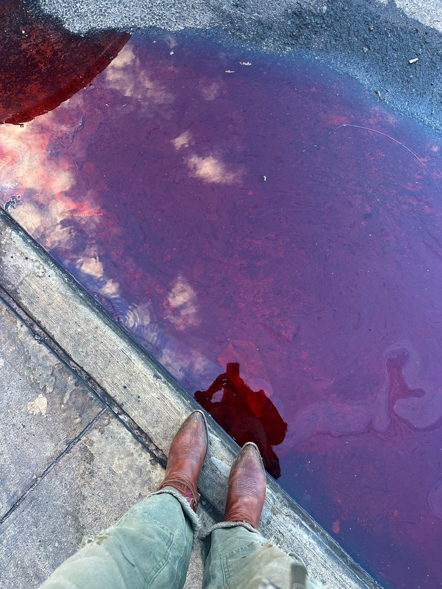 italian lucite tweet media