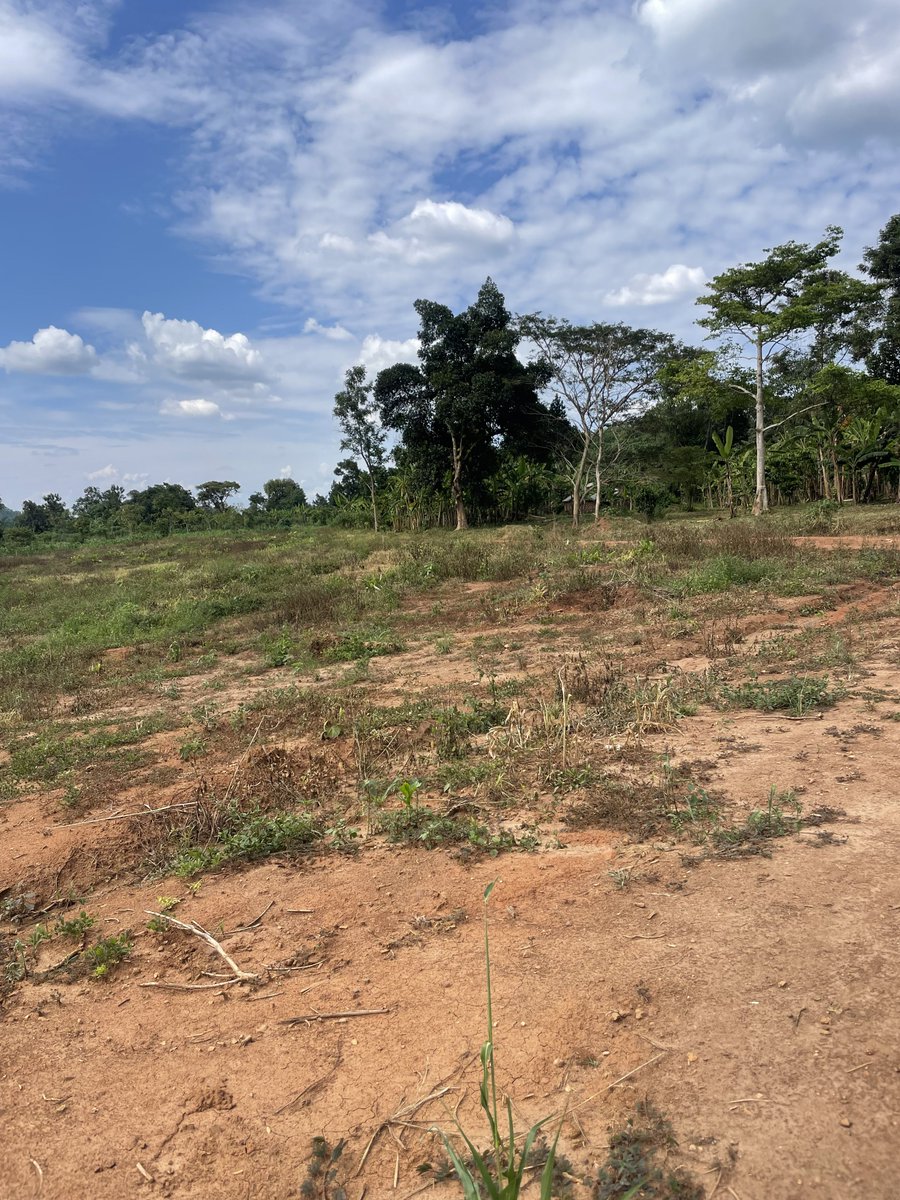 bruno_akampa's tweet image. If you’re interested in acquiring Land, i highly recommend and implore you to consider an area called NAKASAJJA.

Developing faster with good sites.

At @Absolproperties, we have very good options/listings there and are ready to take you for a visit.

Call/Text 0704408763.