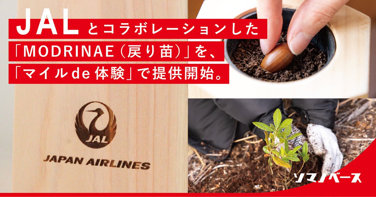 PRTIMES_BIZ's tweet photo. JALとコラボレーションした「MODRINAE（戻り苗）」を『マイル de 体験』で提供開始 https://t.co/Yk78MeKakj https://t.co/uUlpEuAONV
