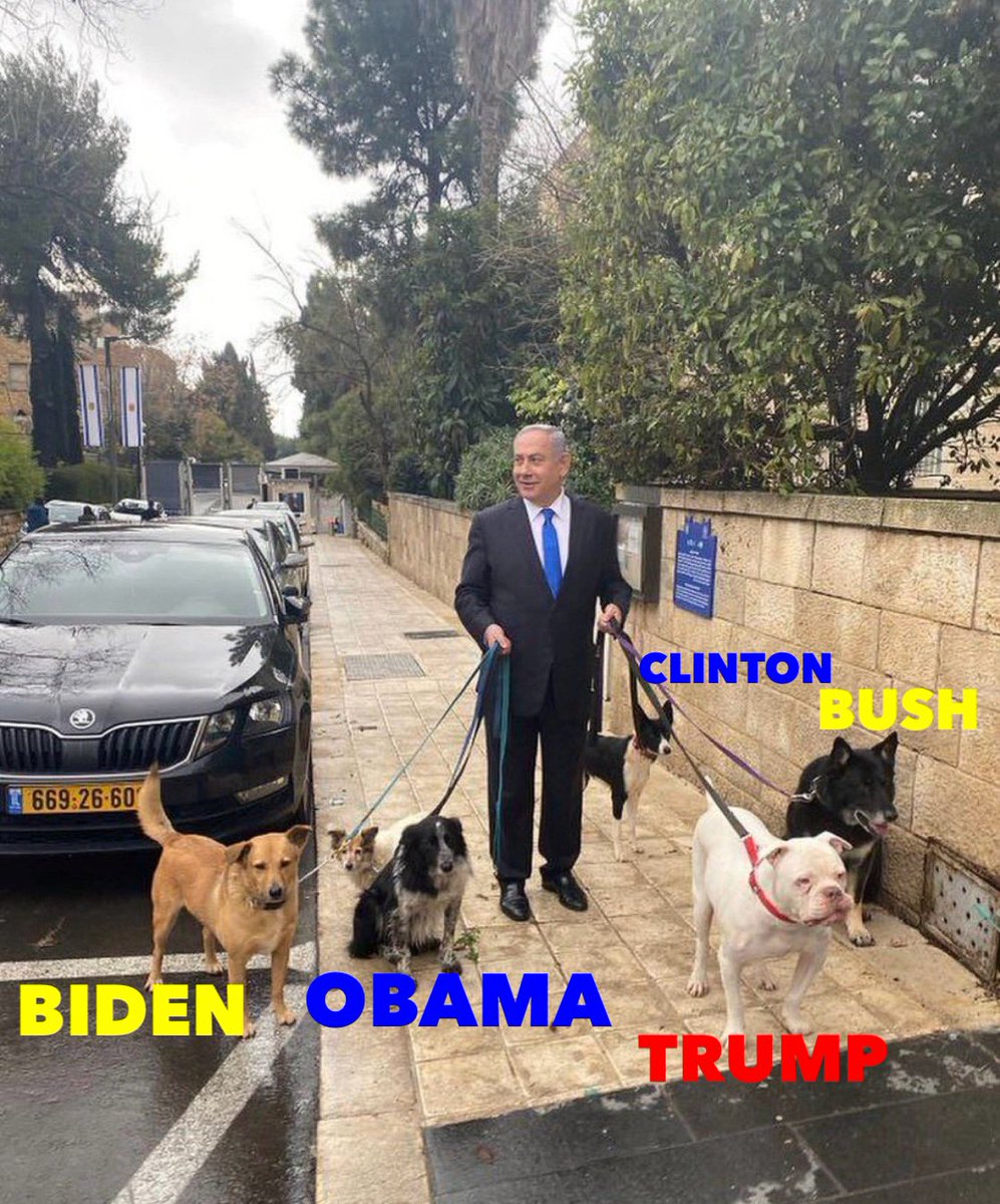 AdityaMandagie's tweet image. 