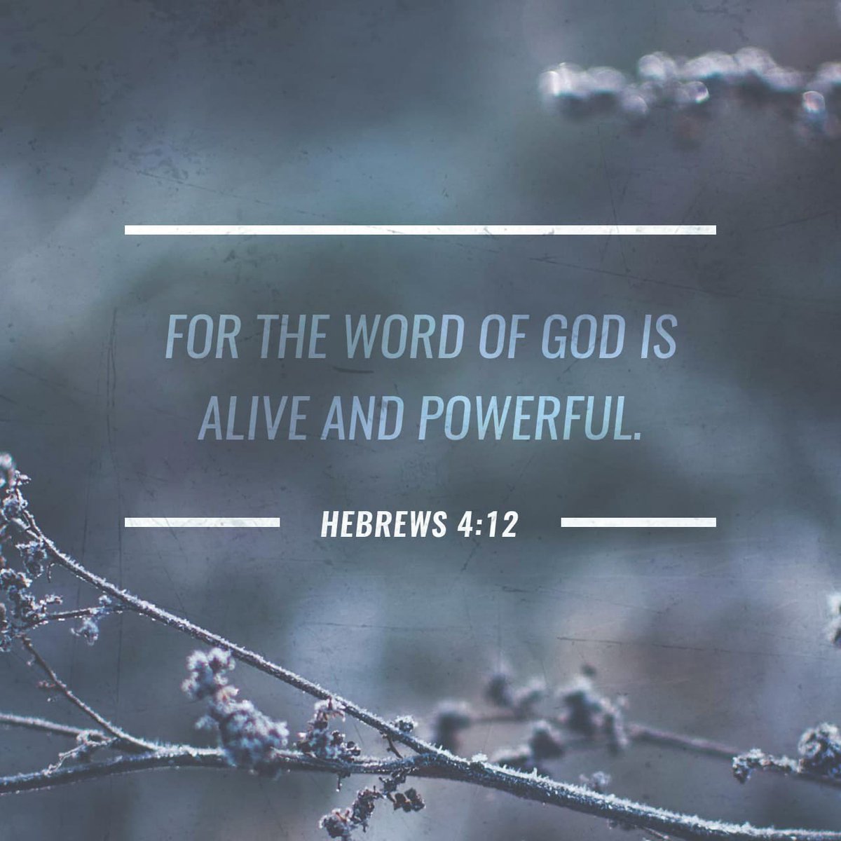Thevine_ntwk's tweet photo. HEBREWS 4:12

#AVERSEADAY day 27. https://t.co/n80BfC1ejd
