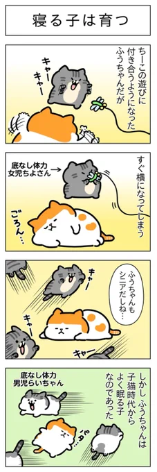 寝る子は育つ・避難│フェリシモ猫部 https://t.co/xXNafisf0R 