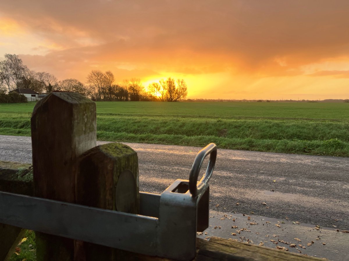Wow…
Just went to get the bins in ..

And look at this my Twits …

My view from the front gate ….🧡