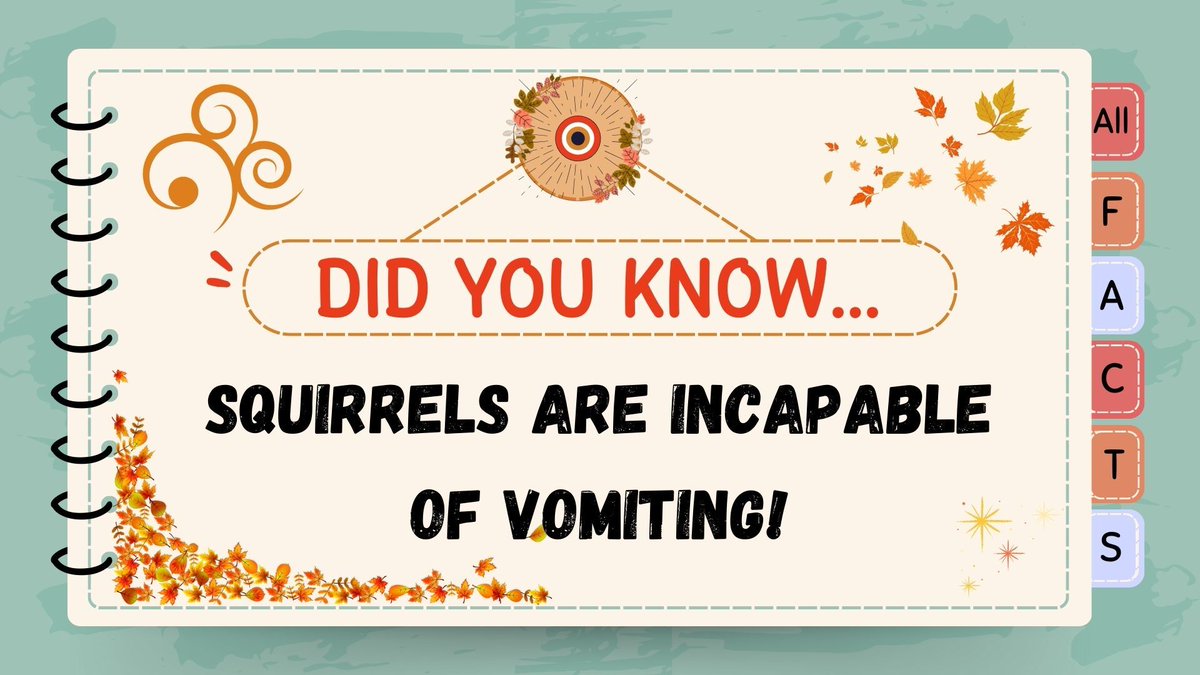 Here is this weeks 'Did you know...'! 🌍❓