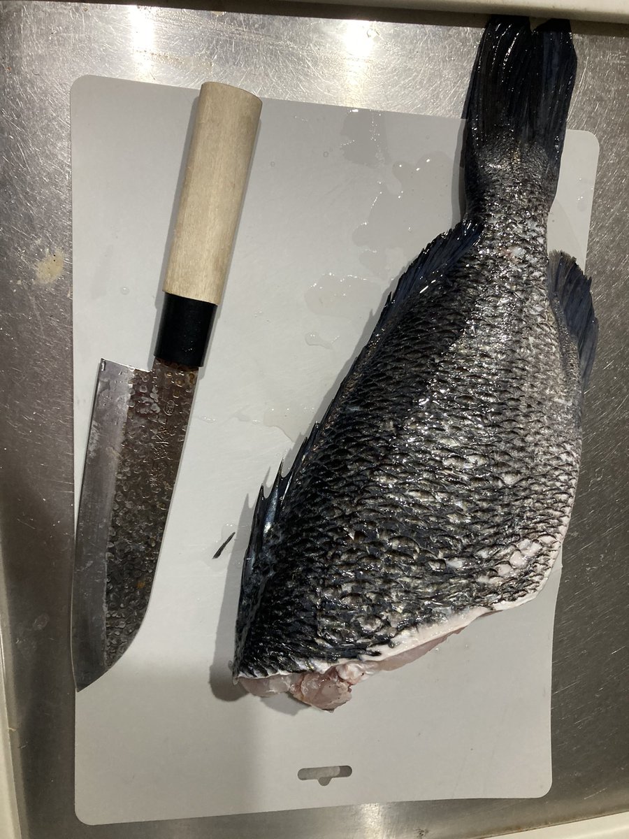 shittahito's tweet photo. 昆布締めと刺身
南蛮漬け
アラだしうどんに仕上がりました
少し残ったので、次回お鍋に。
皮がしっかり、身も引き締まってます。

＃前うち　#東海エリア　#釣り #黒鯛 https://t.co/wrI9BpY0CZ