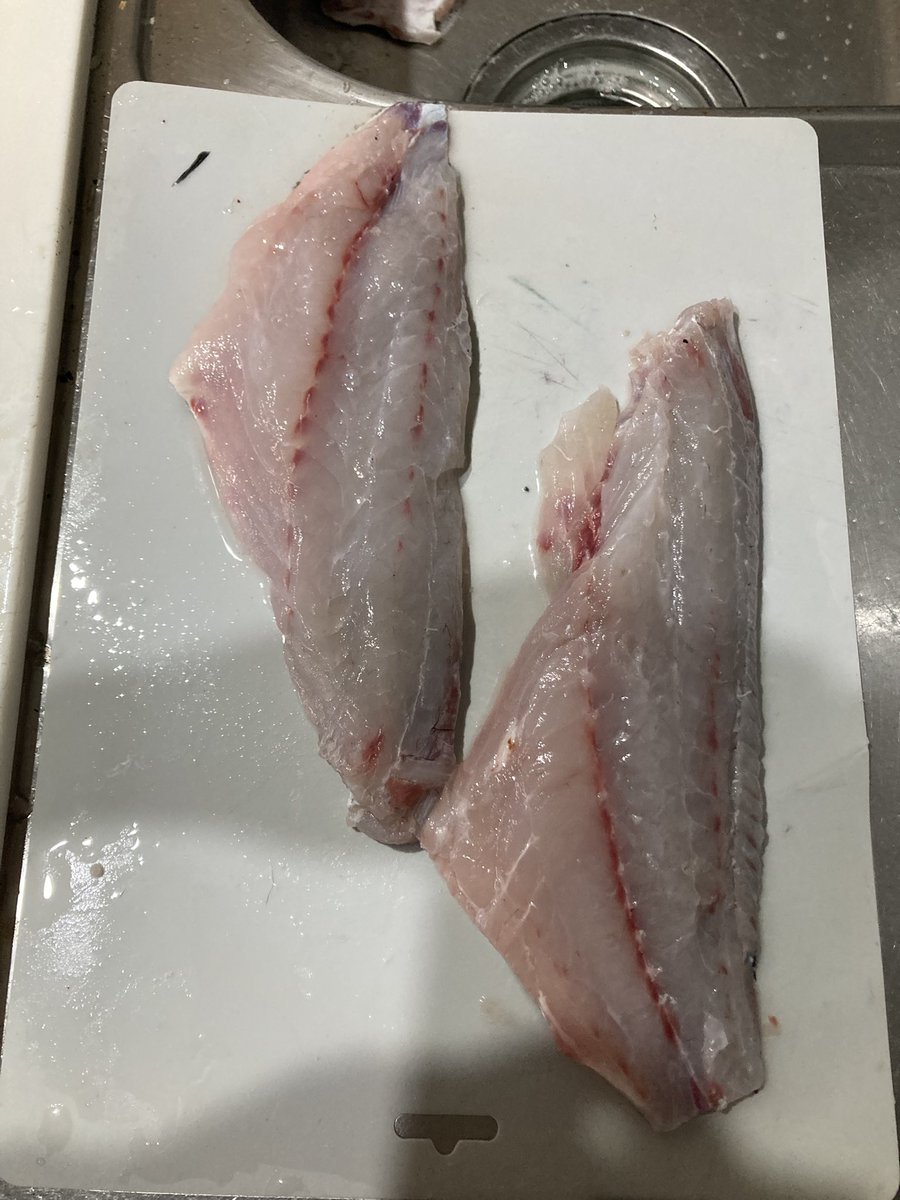 shittahito's tweet photo. 昆布締めと刺身
南蛮漬け
アラだしうどんに仕上がりました
少し残ったので、次回お鍋に。
皮がしっかり、身も引き締まってます。

＃前うち　#東海エリア　#釣り #黒鯛 https://t.co/wrI9BpY0CZ