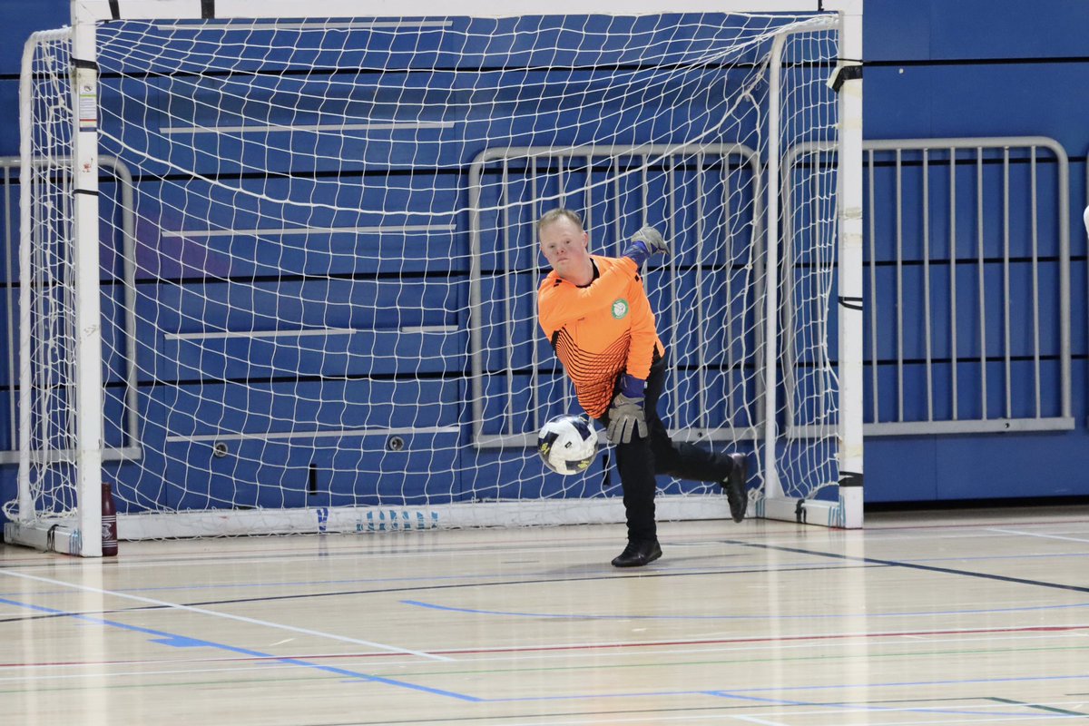 Seagulls in the Community tweet media