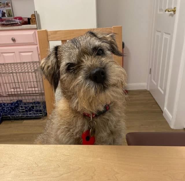 Teddy S BT tweet media