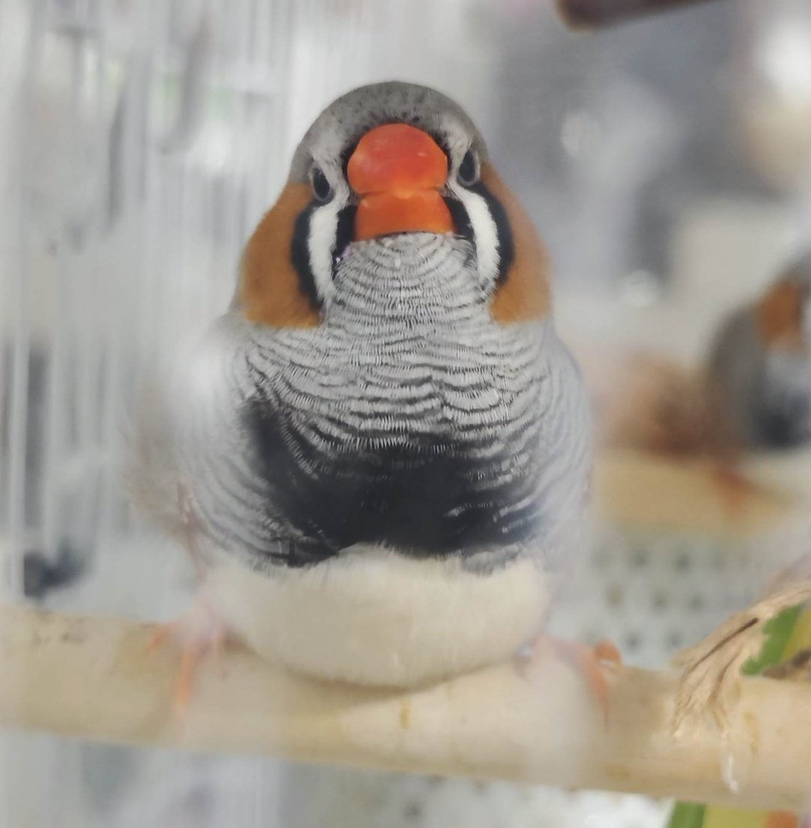 <a href="/kokotensui/">ここてんすい</a> こちらどうぞ😊