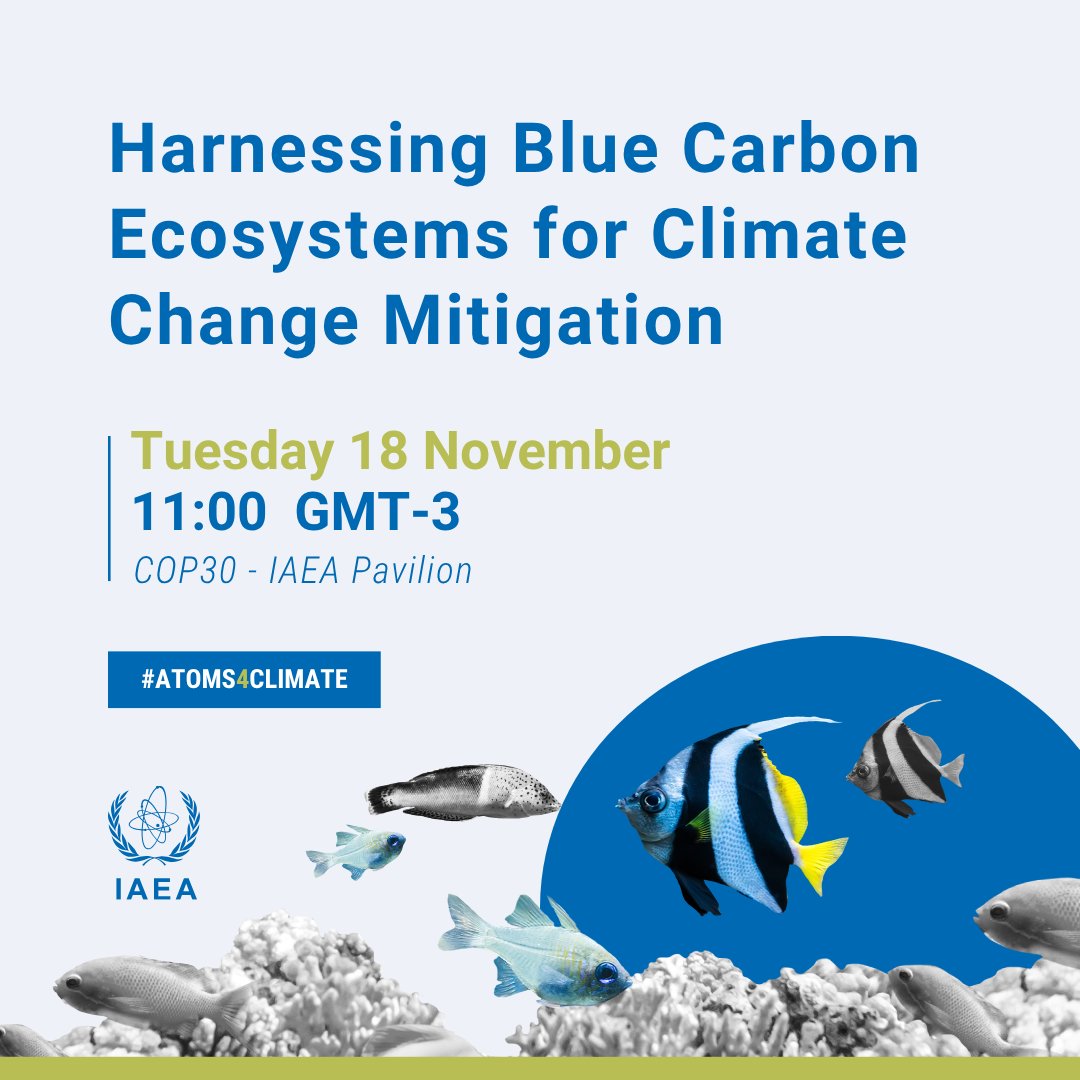 🌊🌱 Join us to learn about nature-based solutions at our COP30 event: "Harnessing Blue Carbon Ecosystems for Climate Change Mitigation".

🗓️Tuesday, 18 November
🕚11:00 GMT-3
📍IAEA Pavilion <a href="/Cop30noBrasil/">COP30 Brasil</a>

🔗See more @IAEAorg events at: bit.ly/IAEACOP30