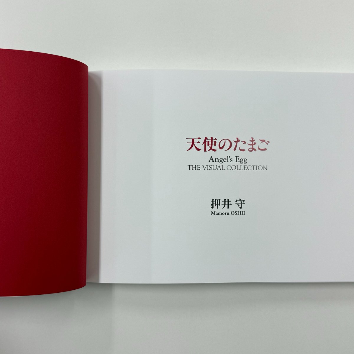 天使のたまご 2冊 セット THE ART OF 天使のたまご 増補改訂復刻版（アニメージュ編集部 編