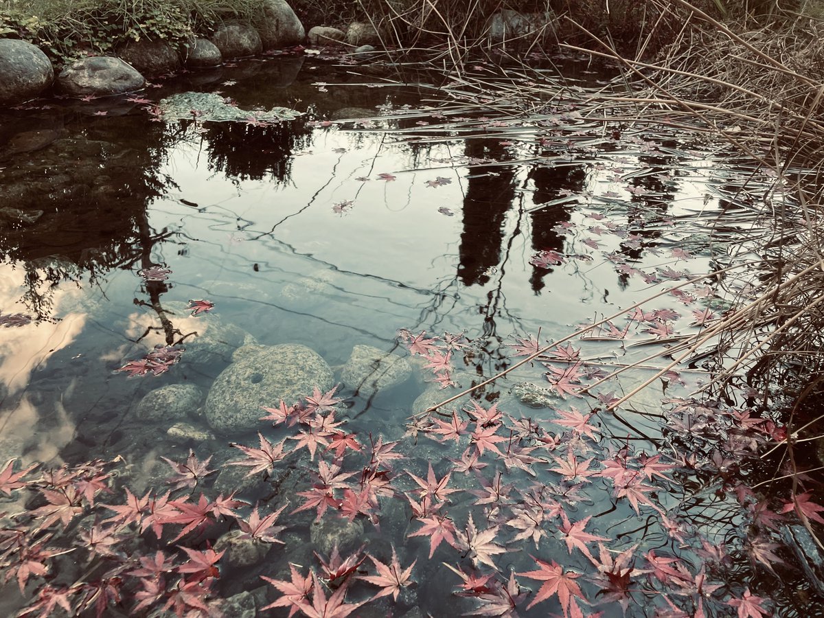 ゆう太 tweet media