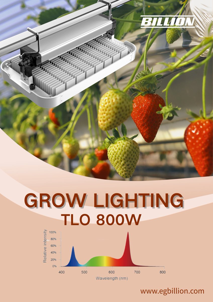 eg_led's tweet image. EG-BILLION TLO 800W Grow Light | Illuminate Your Path to Bountiful Harvests

📩 Learn more: egbillion.com
#GrowingEssential #PhotosynthesisTech #EGBILLION #SmartGreenhouse #PlantFactory #Hydroponics #LEDGrowLight #AgriculturalInnovation