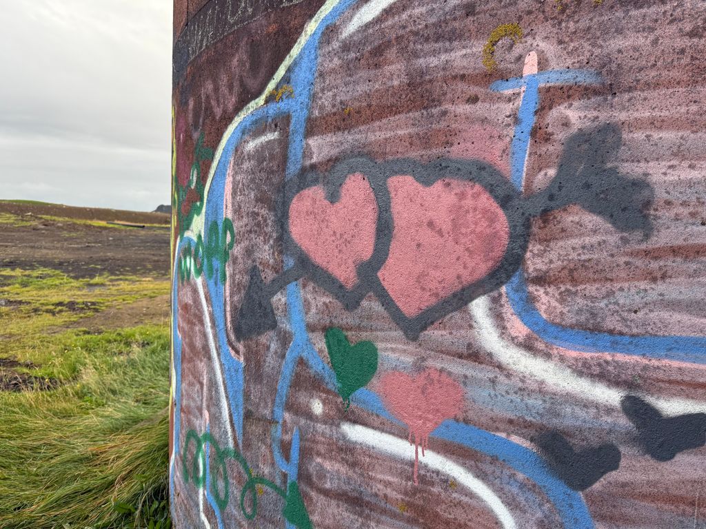 "I found this book beautiful, introspective, and quietly powerful, that rare kind of story that doesn’t just tell a journey, it becomes one. Olly’s struggle between collapse and discovery, the fractured father-son bond, the aching silence of Icelandic landscapes, all feel raw,