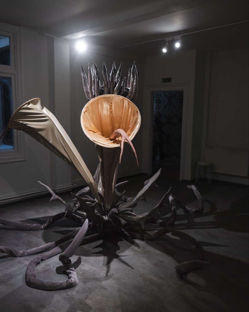 İstanbul Bienali tweet media