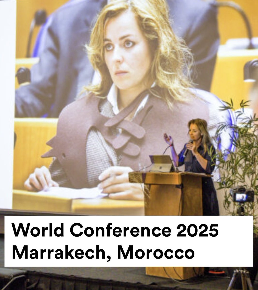 Animal Politics Foundation - Party for the Animals tweet media