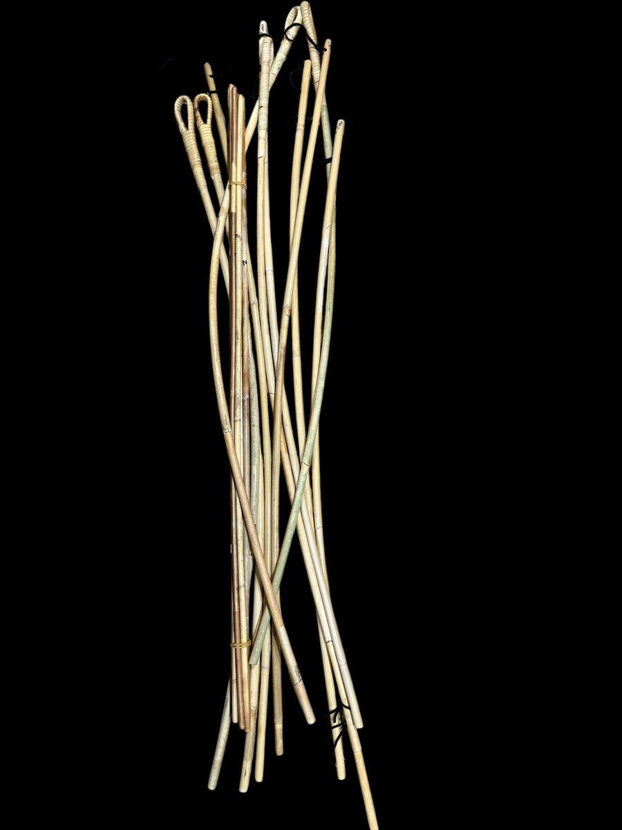 這次買的戰利品，每支打幾下，屁股就要開花了😆