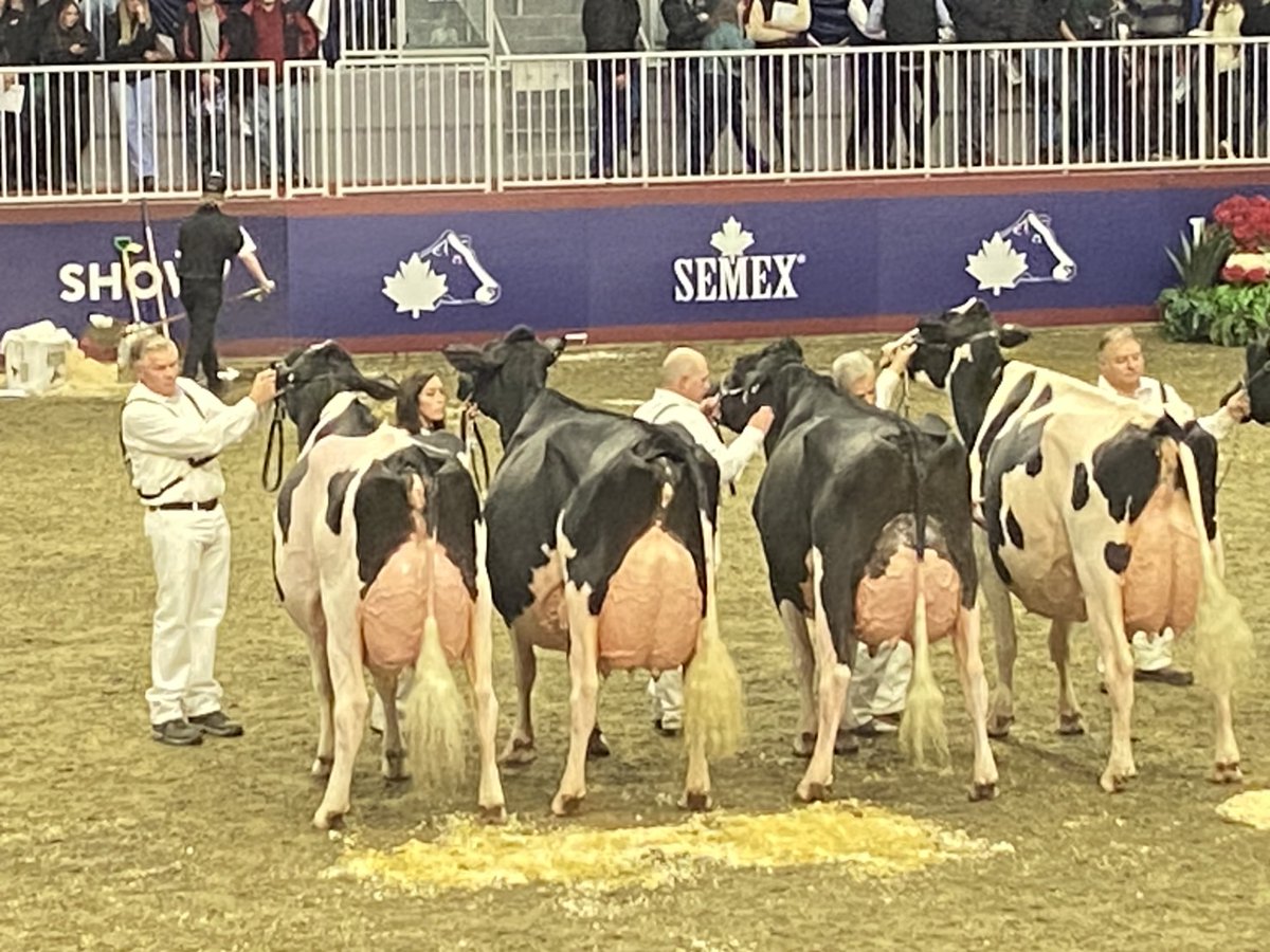 🐮海外酪農研修 inカナダ🇨🇦 現地レポ3⃣ 「ロイヤル・ウィンター