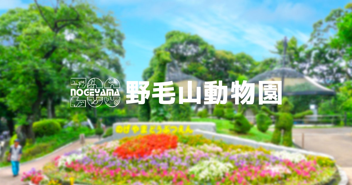 マヌルネコの展示について　詳細はこちら dlvr.it/TPJTQV