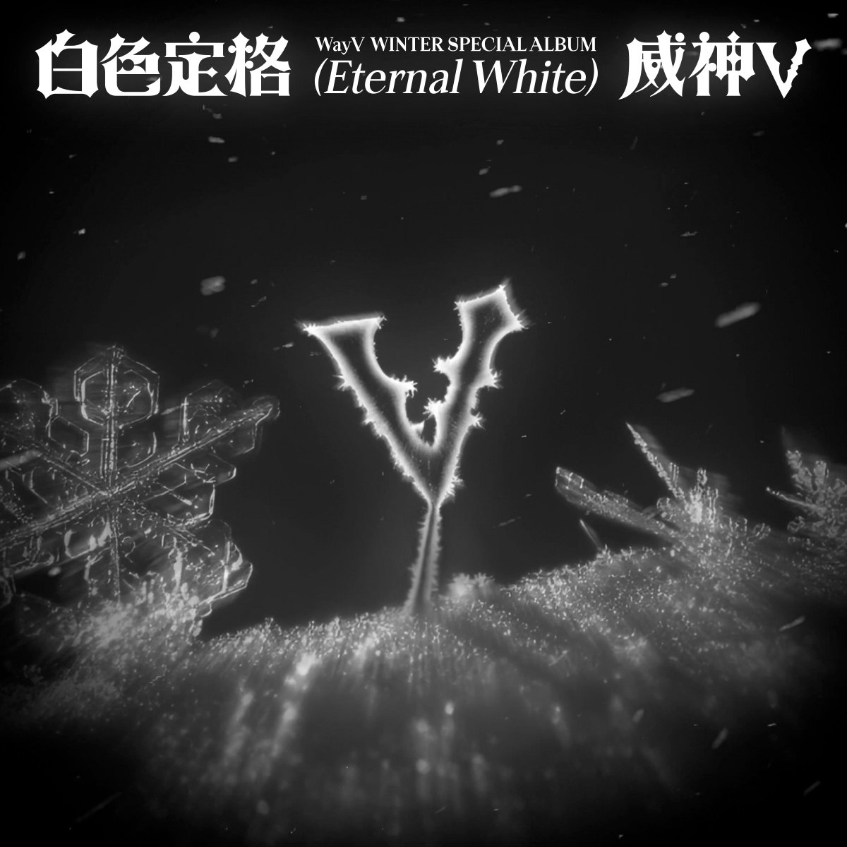 WayV tweet media