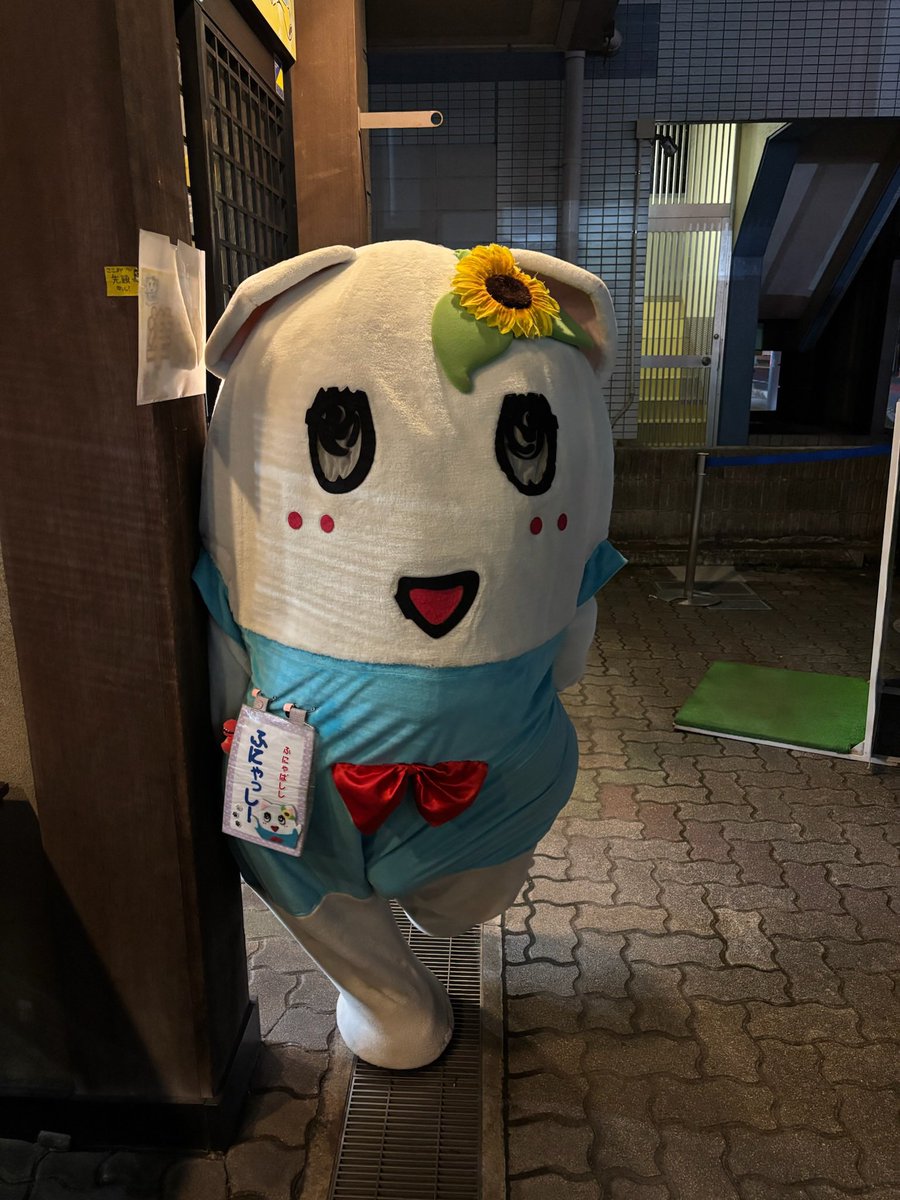 マカロン(すあまマカロン)💙 (@ponyoponyossyi) / Posts / X