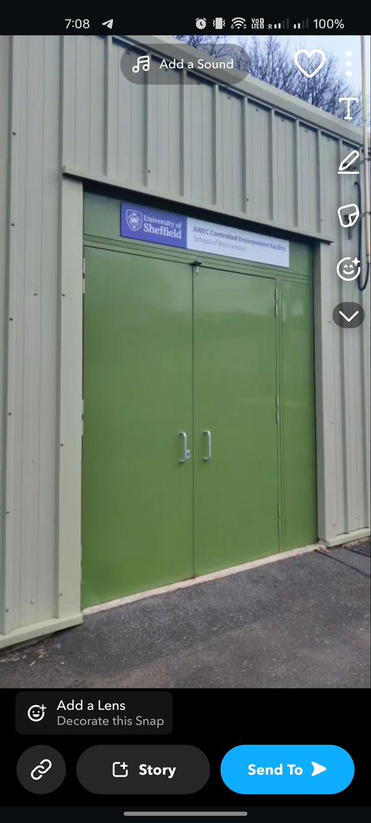 PCR_Picasso's tweet image. Remembering my Master&apos;s Thesis time when I used to do work at Plant Research Facility at University of Sheffield. 

AWEC, fully equipped green house system. The most peaceful place to sit &amp;amp; think about what life is all about? A Cell 🤣

#Sheffield #England #tuos #biotech #plants