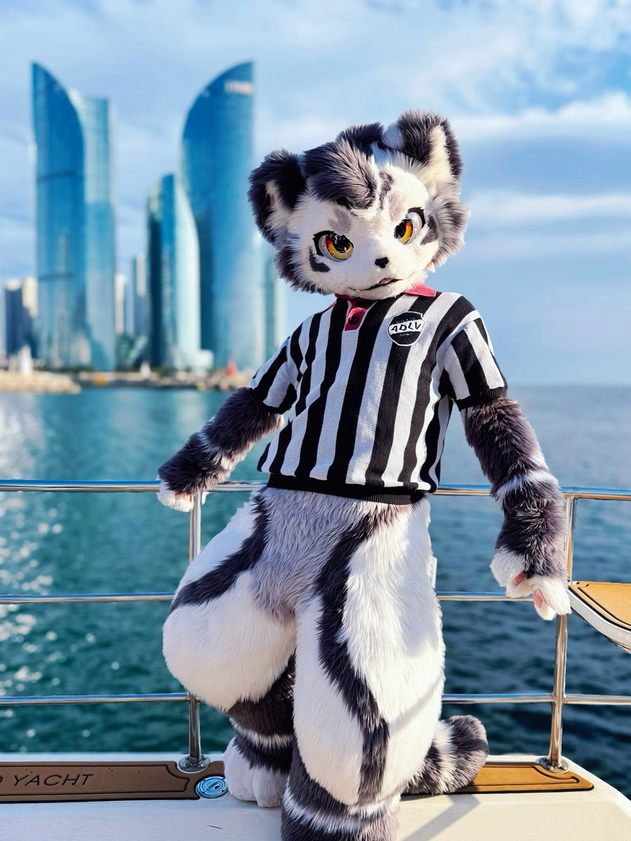 FurryGintan's tweet image. 一起兜风吗～
📷：@run_charizard 
#FURSTCLASS