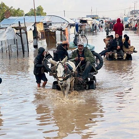 🔴 Hamas:

 ▪️ Gazze Şeridi’nde yardımların ulaştırılması için acil müdahale gerekiyor. 

▪️ Arap ve İslam dünyası ile dünyanın özgür insanlarına, işgale ve destekçilerine karşı baskı oluşturmak amacıyla halk hareketlerini ve kitlesel eylemlerini sürdürmeleri çağrısında