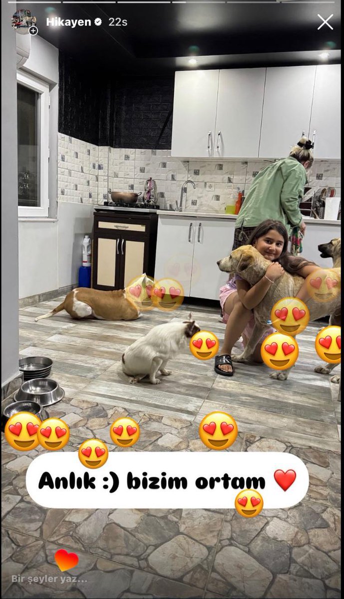 Ankara patiliköy köpek yaşam alanın içindeki tüm yapılar neredeyse kaçak, 7,5 dönüm kullanıma ruhsat verilen yer 30 dönüm arazi kullanıyor, hayvan barınağının içinde 2 katlı lüks evi ve kendine özel havuzu var. <a href="/golbasibel/">Gölbaşı Belediyesi</a>  <a href="/Yakup_ODABASI/">Yakup ODABAŞI</a>   bu derneğin torpili nereden geliyor?