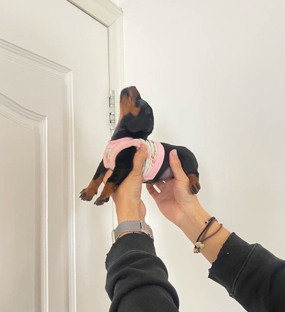 행복이라는사쩐엔!!!!너를의미하는껏가태!!!!!