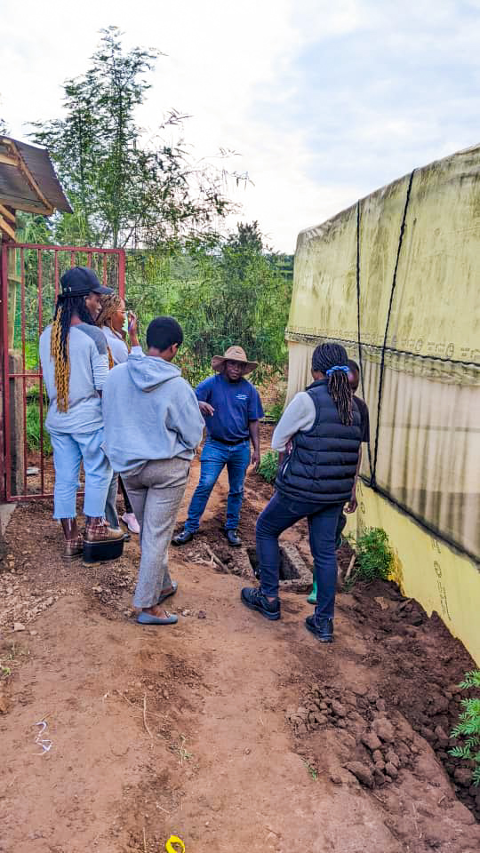 NjengaGreens's tweet image. #NjengaGreens, in partnership with @EarthEnable, conducted the second training for their team. The focus this time was on fertigation and record-keeping, the real drivers behind smart greenhouse success. 

Together we are learning, applying &amp;amp; growing. 

#SmartFarming #AgExtension