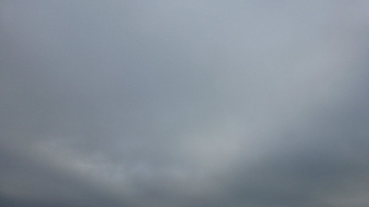 Irgendwie pfeifen es die Spatzen von den Dächern, dass man Wetterberichte nur als grobe Orientierung für den Tagesablauf verwenden soll. Und es dann doch ganz anders kommt als vorhergesagt. Deshalb interviewte ich auch gestern das Taubenpaar, das auf unserem Redaktionsdach seine