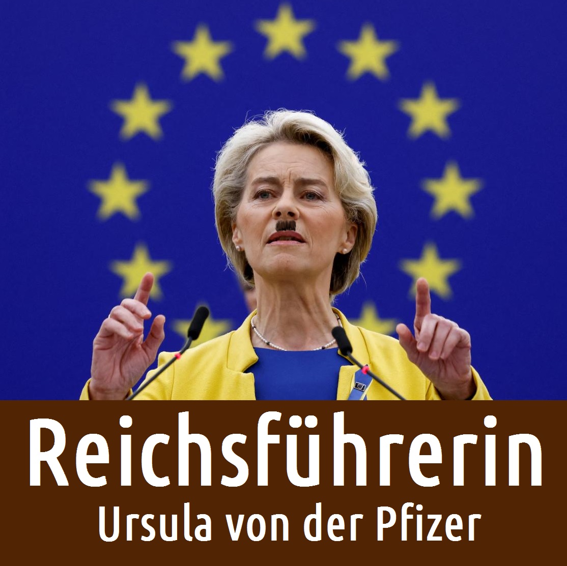 Sedlacek_Jan's tweet photo. Polský europoslanec Grzegorz Braun byl umlčen, když nazval Uršulu von der Leyenovou jako "Reichsführerin". 

Označení je přitom zcela trefné.

Pokud se papaláši z EU tolik zlobí za pravdu, pojďme Uršule takto říkat, ať to slyší z co nejvíce míst. https://t.co/BbFunRgsEn