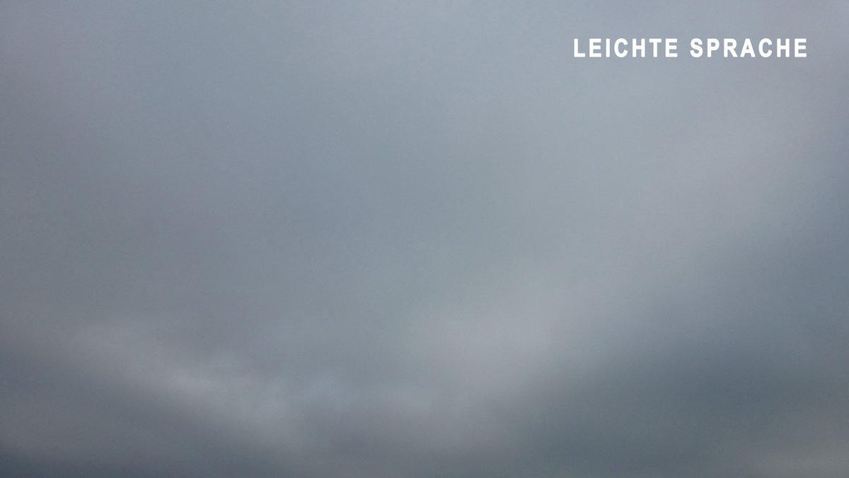 Viele Leute sagen:
„Die Spatzen pfeifen es von den Dächern.“
Das heißt:
Alle wissen es schon.
Und was wissen alle?
Wetterberichte stimmen nicht immer.
Sie geben nur eine ungefähre Richtung.
Oft kommt das Wetter dann doch ganz anders.
Gestern habe ich zwei Tauben befragt.
Die